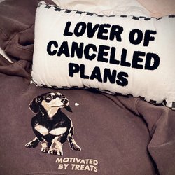 Target - My modest purchase: a cute sweater & my pup's new pillow.