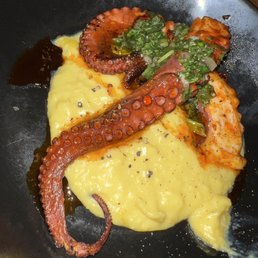 Grilled Octopus