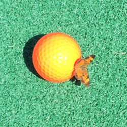 Rolling Hills Miniature Golf