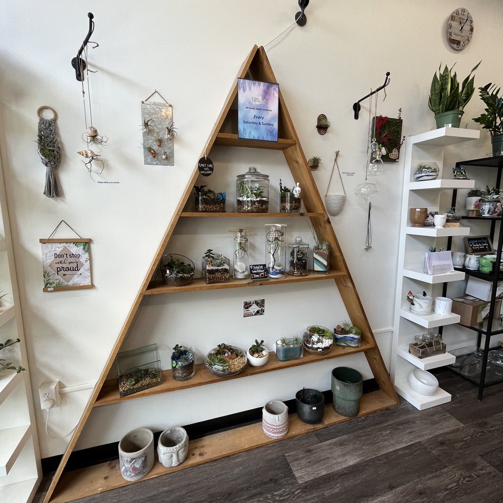 Now and Zen DIY Studio - Nurseries & Gardening Near Me - Dayton, Ohio