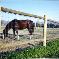 Ranch Service & Supply - The Finest HORSE FENCE at  RANCH SUPPLY