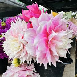 Burlingame Fresh Market - Dahlias