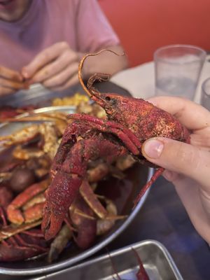 HIEUX Boil Seafood House by null