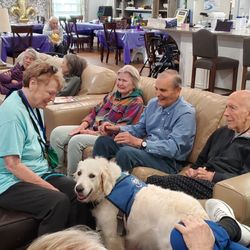 BeeHive Homes Assisted Living - Visit with therapy dogs