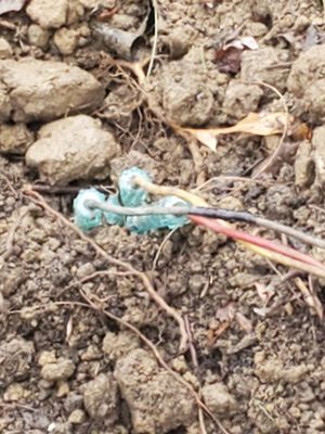 Capital City Handyman Services Logo