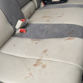 PetSmart Grooming - Backseat blood after nail trim - Pet Training Near Me - CARTERSVILLE, Georgia