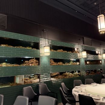 Jumbo Lobster Restaurant - Seafood Near Me - Richmond Hill, Ontario