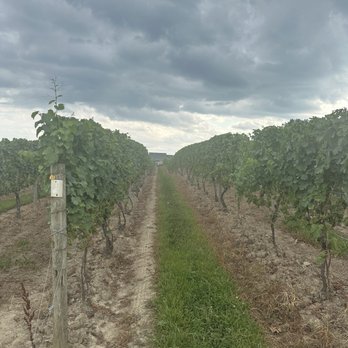 Konstantin Frank Winery - Wine Tours Near Me - Hammondsport, New York