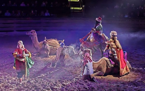 Dolly Parton's Stampede by null