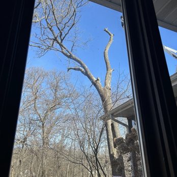 KrusinKings Tree Service - Tree Services Near Me - Altoona, Wisconsin