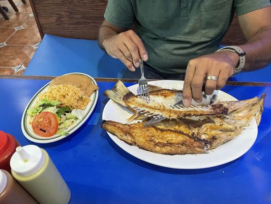 El Bucanero - Blanco by null