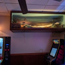 Decor