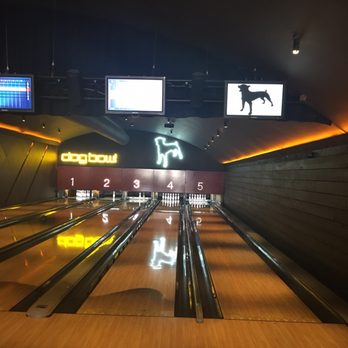 Dog Bowl - Bowling Near Me - Manchester, XGM