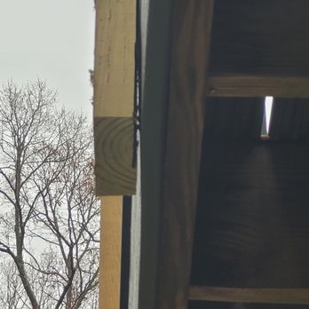 Grass Dirt & HandyWork - a bird perched on a roof - Lawn Services Near Me Grass Dirt & HandyWork - a bird perched on a roof - Lawn Services Near Me