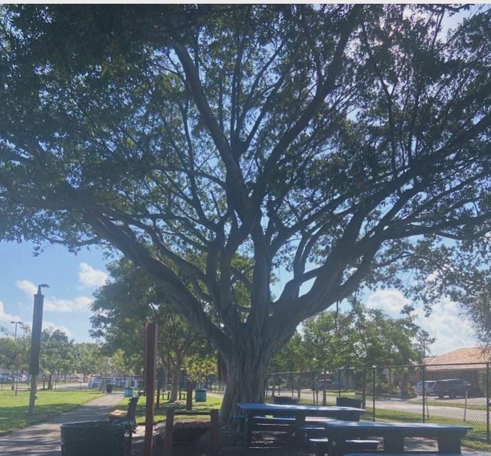 Dottie Mancini Park Image
