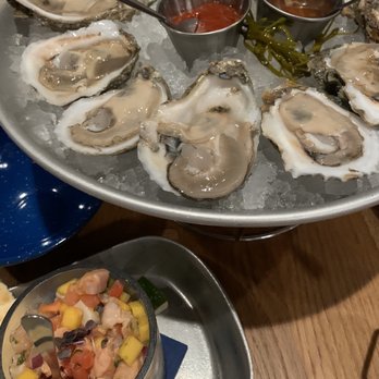 Salt Traders Zilker - Gulf oysters and ceviche (both are served with crackers) - Seafood Near Me - Austin, Texas Salt Traders Zilker - Gulf oysters and ceviche (both are served with crackers) - Seafood Near Me - Austin, Texas