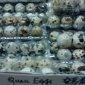Oceanic Oriental Supermarket - Quail eggs - Grocery Near Me - Tampa, Florida