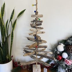 Ron Bittle, DC - The Santa Clarita Chiropractor - They had a great display in their waiting room.