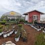 Photo of Alexander Farm Market and Greenhouses