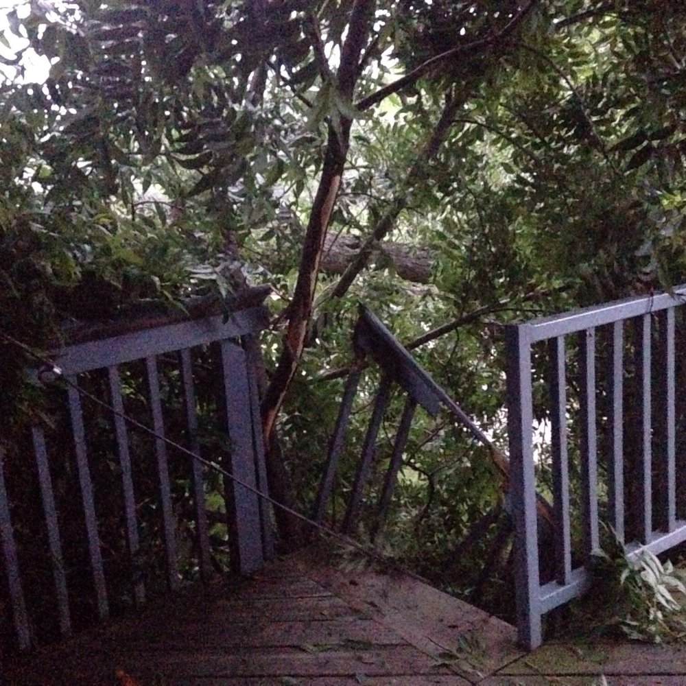 Real Property Management - Staircase four days after a tree fell on our house. RPM still hasn't fixed the stairs, 4 days later. - Property Management Near Me - Cincinnati, Ohio Real Property Management - Staircase four days after a tree fell on our house. RPM still hasn't fixed the stairs, 4 days later. - Property Management Near Me - Cincinnati, Ohio