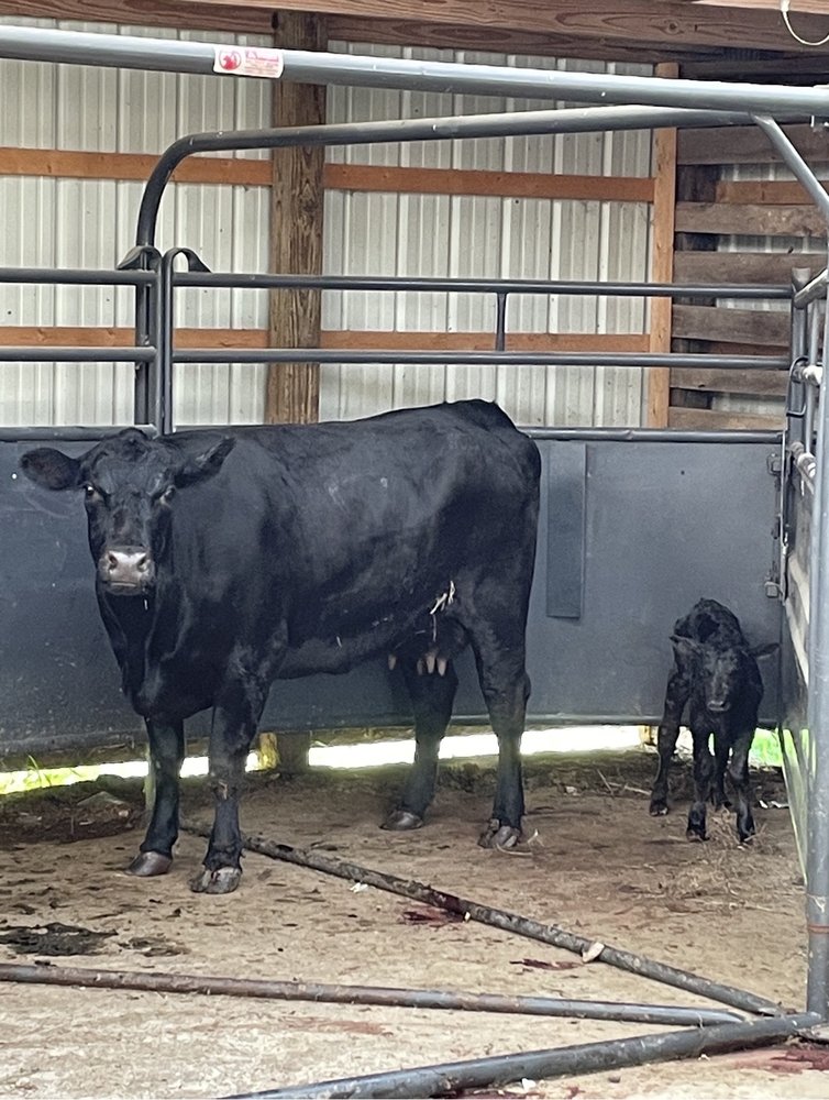 SOUTHSIDE VETERINARY CLINIC Updated September 2024 2330 Hwy 48