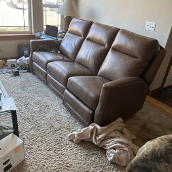 Samuel's Furniture - The sofa and our abused mastiff Candi. - Interior Design Near Me - Ferndale, Washington Samuel's Furniture - The sofa and our abused mastiff Candi. - Interior Design Near Me - Ferndale, Washington