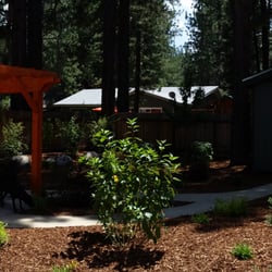Z’s lawn and landscape - Completed backyard in panoramic view