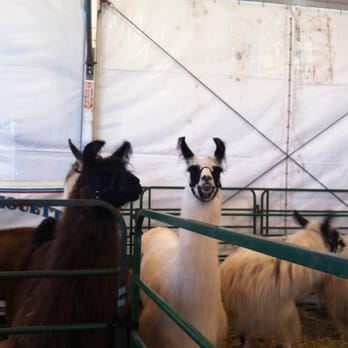 Durham Fair - Festivals Near Me - Durham, Connecticut Durham Fair - Festivals Near Me - Durham, Connecticut