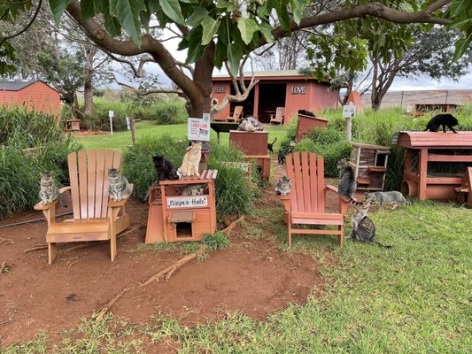 Lānaʻi Cat Sanctuary by null
