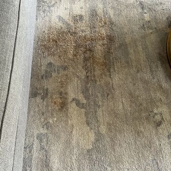 Stanford Carpet & Upholstery Cleaning - Tea stain - Carpet Cleaning Near Me - Mountain View, California Stanford Carpet & Upholstery Cleaning - Tea stain - Carpet Cleaning Near Me - Mountain View, California
