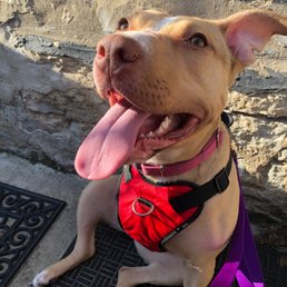 Our Foster - Gilda