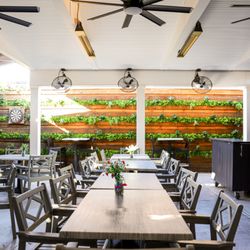 Fiona's Bar & Kitchen