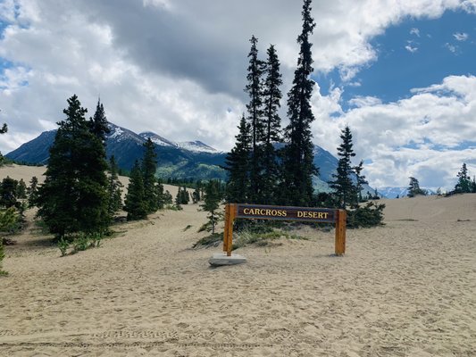 Carcross Desert by null