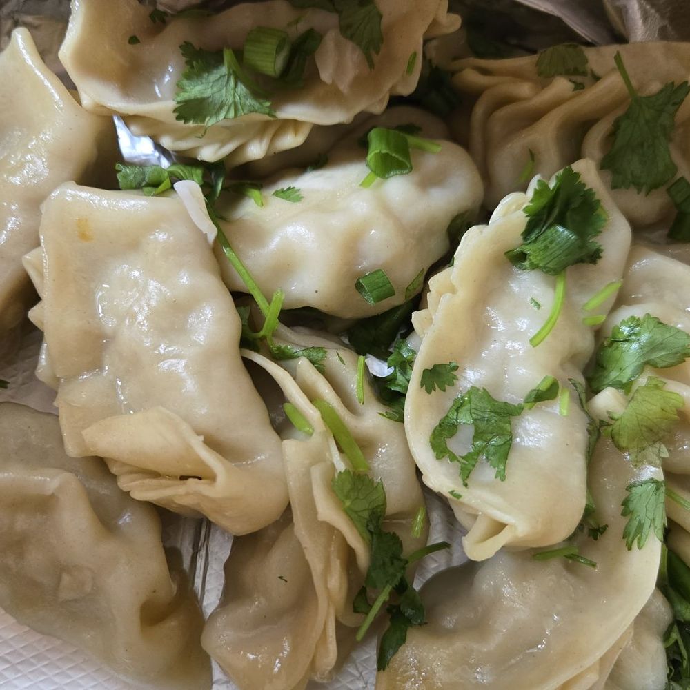 Guru's Kitchen - Steamed chicken momo - Himalayan/Nepalese Near Me - Grand Junction, Colorado Guru's Kitchen - Steamed chicken momo - Himalayan/Nepalese Near Me - Grand Junction, Colorado