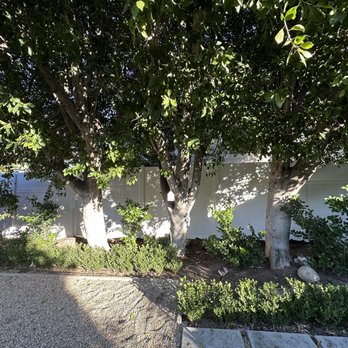 Customize Vinyl Fencing - After - Fences & Gates Near Me - Northridge, California