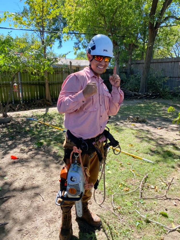 Trevino Tree Trimming - tree service in Fort Worth, TX