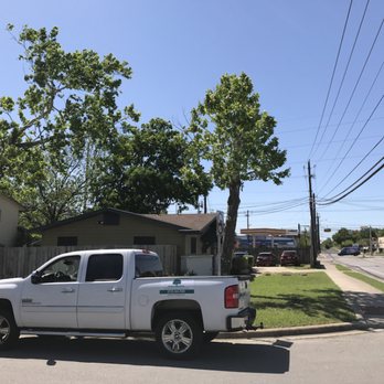 Double A Tree Works - Satisfied customer - Tree Services Near Me Double A Tree Works - Satisfied customer - Tree Services Near Me