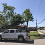 Photo of Double A Tree Works