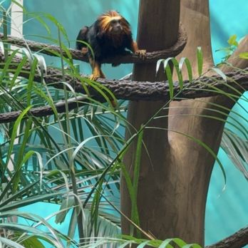 Orlando Science Center - Museums Near Me - Orlando, Florida Orlando Science Center - Museums Near Me - Orlando, Florida