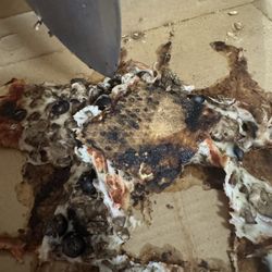 Wiseguys Pizzeria & Pub - Burnt pizza