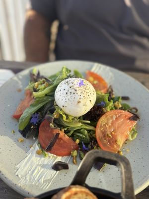 Oystercatcher by null