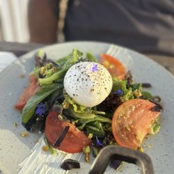 Oystercatcher - Burrata salad