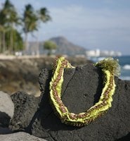 Aloha Island Lei and Floral by null