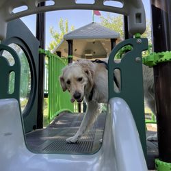 Garin Fields Park - Taco loves it too