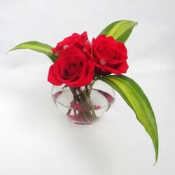 Floralies Jouvence