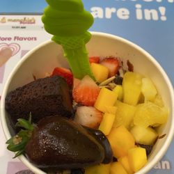Menchie's Frozen Yogurt