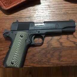 The gun