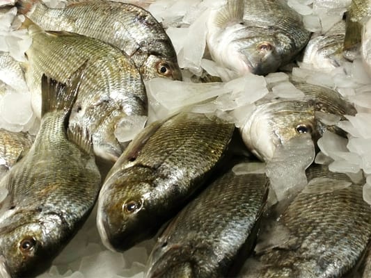 Kailis Bros Leederville by null