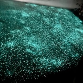 Armored Concrete Coating - a green glow on the floor - Masonry/Concrete Near Me Armored Concrete Coating - a green glow on the floor - Masonry/Concrete Near Me