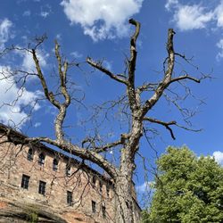 Kaiserburg Nürnberg - ... Impressionen ...